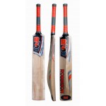 RS Robinson Duke of Windsor Kashmir Willow Cricket Bat (SH)